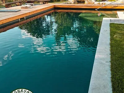 Naturpools & Schwimmteiche Bild 16